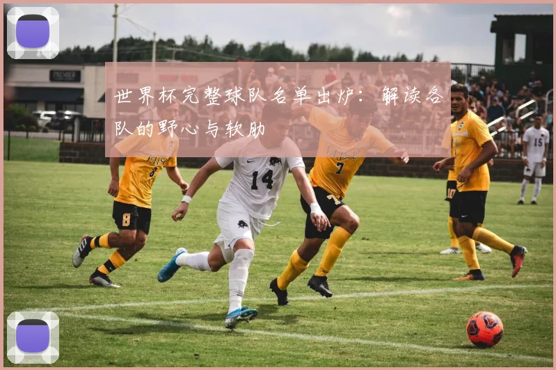 世界杯完整球队名单出炉：解读各队的野心与软肋